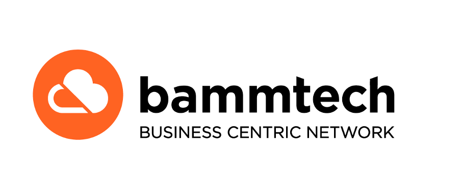 BAMM Technologies LLC